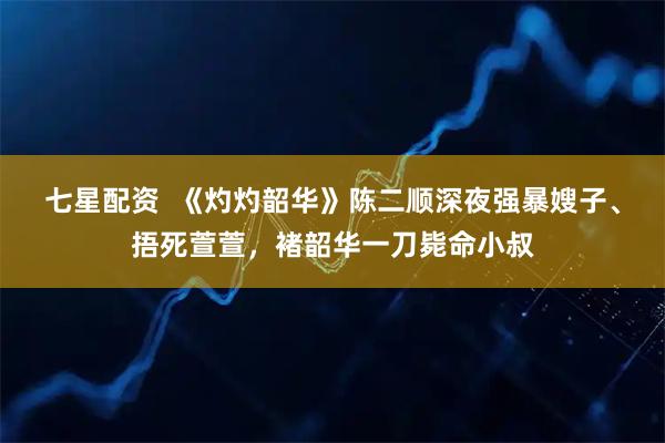 七星配资  《灼灼韶华》陈二顺深夜强暴嫂子、捂死萱萱，褚韶华一刀毙命小叔