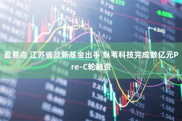 盈易点 江苏省战新基金出手 纵苇科技完成数亿元Pre-C轮融资
