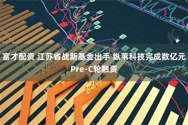 富才配资 江苏省战新基金出手 纵苇科技完成数亿元Pre-C轮融资
