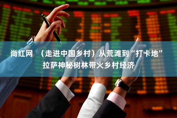 尚红网  （走进中国乡村）从荒滩到“打卡地” 拉萨神秘树林带火乡村经济