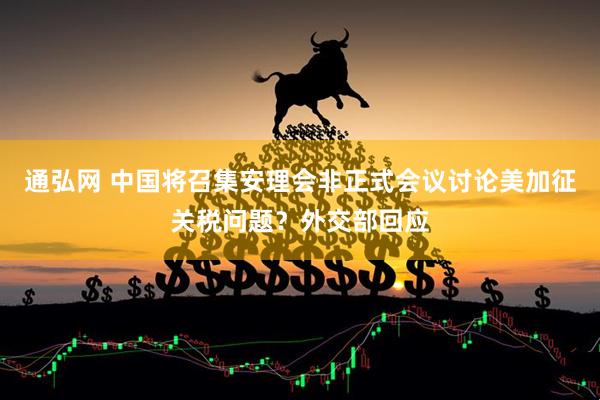 通弘网 中国将召集安理会非正式会议讨论美加征关税问题？外交部回应