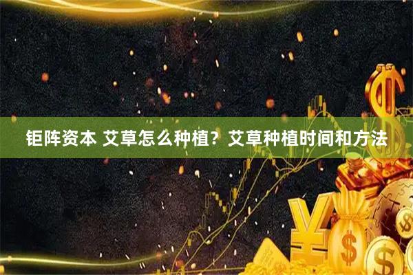 钜阵资本 艾草怎么种植？艾草种植时间和方法