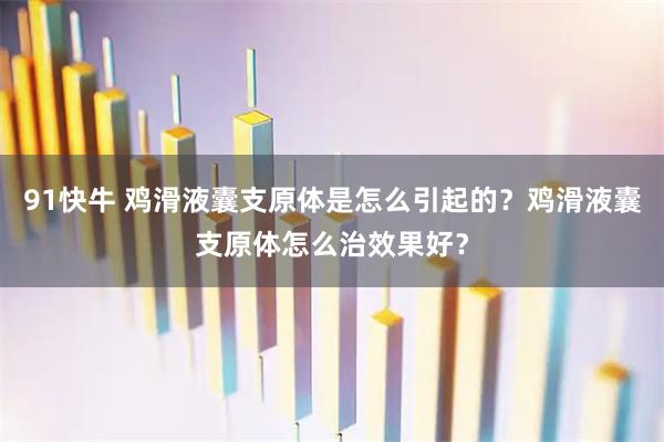 91快牛 鸡滑液囊支原体是怎么引起的？鸡滑液囊支原体怎么治效果好？