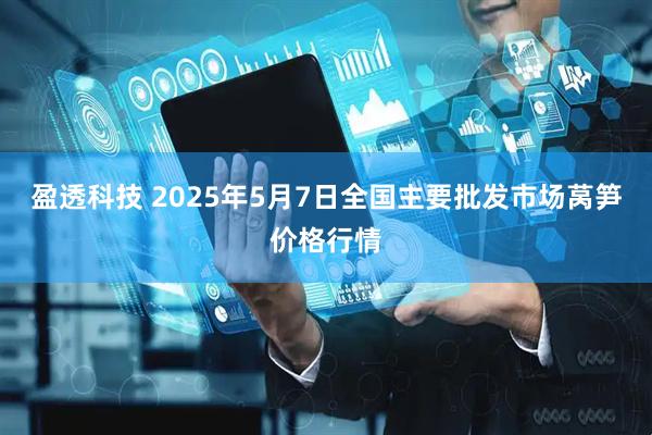 盈透科技 2025年5月7日全国主要批发市场莴笋价格行情