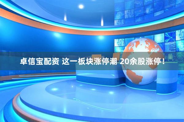 卓信宝配资 这一板块涨停潮 20余股涨停！
