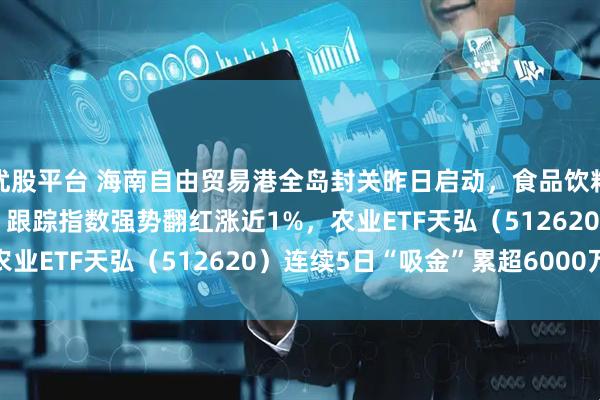 优股平台 海南自由贸易港全岛封关昨日启动，食品饮料ETF天弘（159736）跟踪指数强势翻红涨近1%，农业ETF天弘（512620）连续5日“吸金”累超6000万元