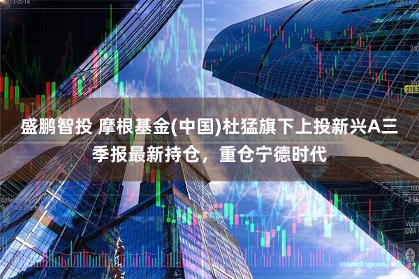 盛鹏智投 摩根基金(中国)杜猛旗下上投新兴A三季报最新持仓，重仓宁德时代